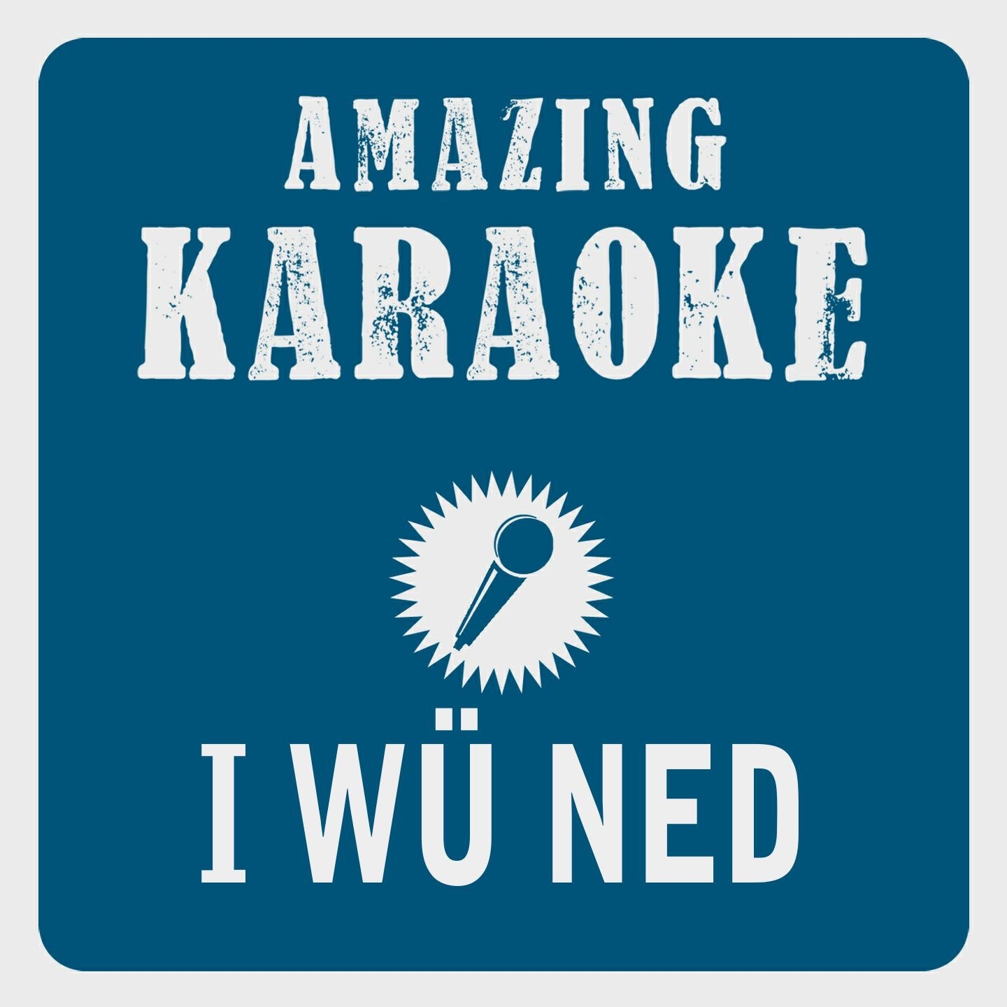 I wü ned Karaoke Version Originally Performed By Seiler  Speer