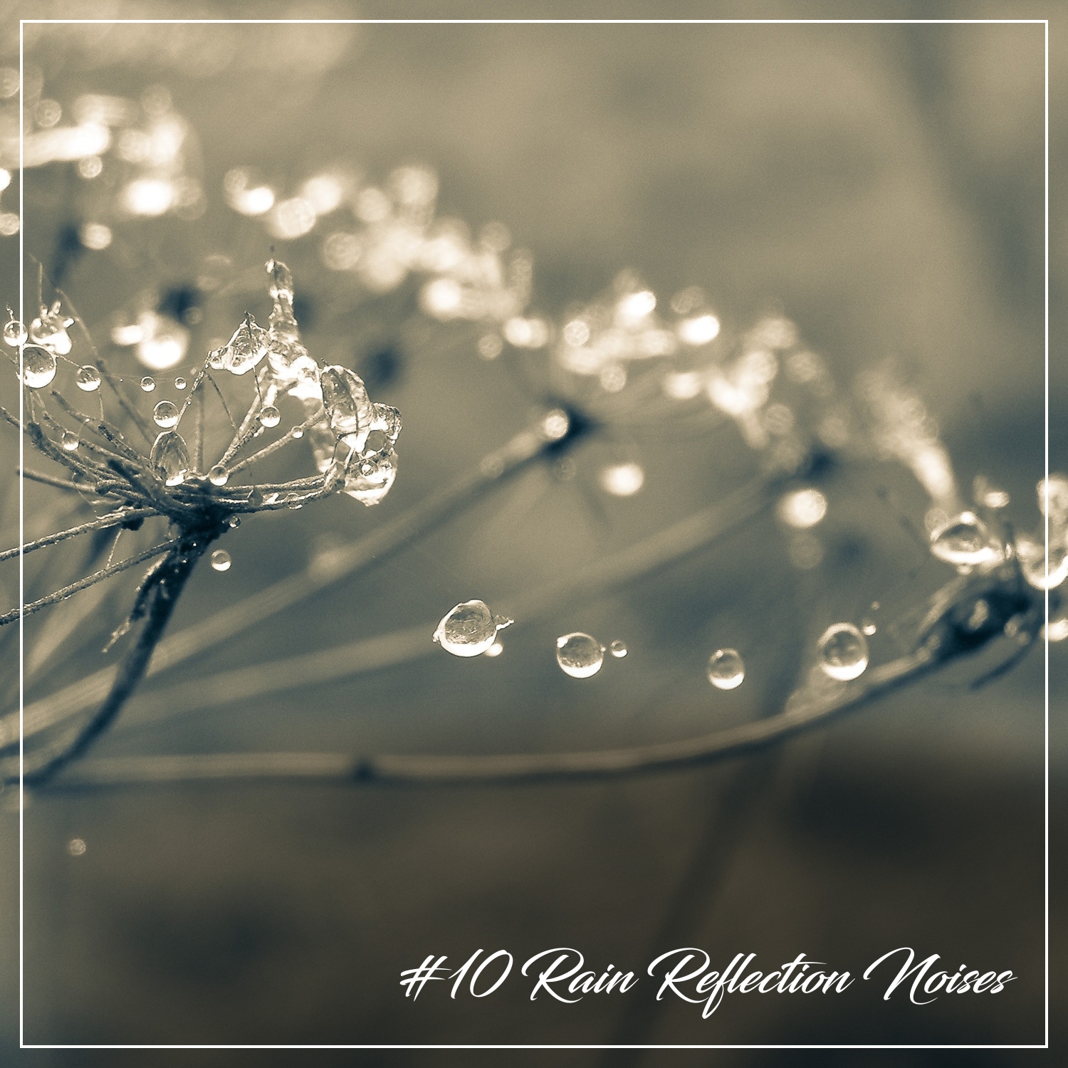 #10 Rain Reflection Noises for Inner Peace