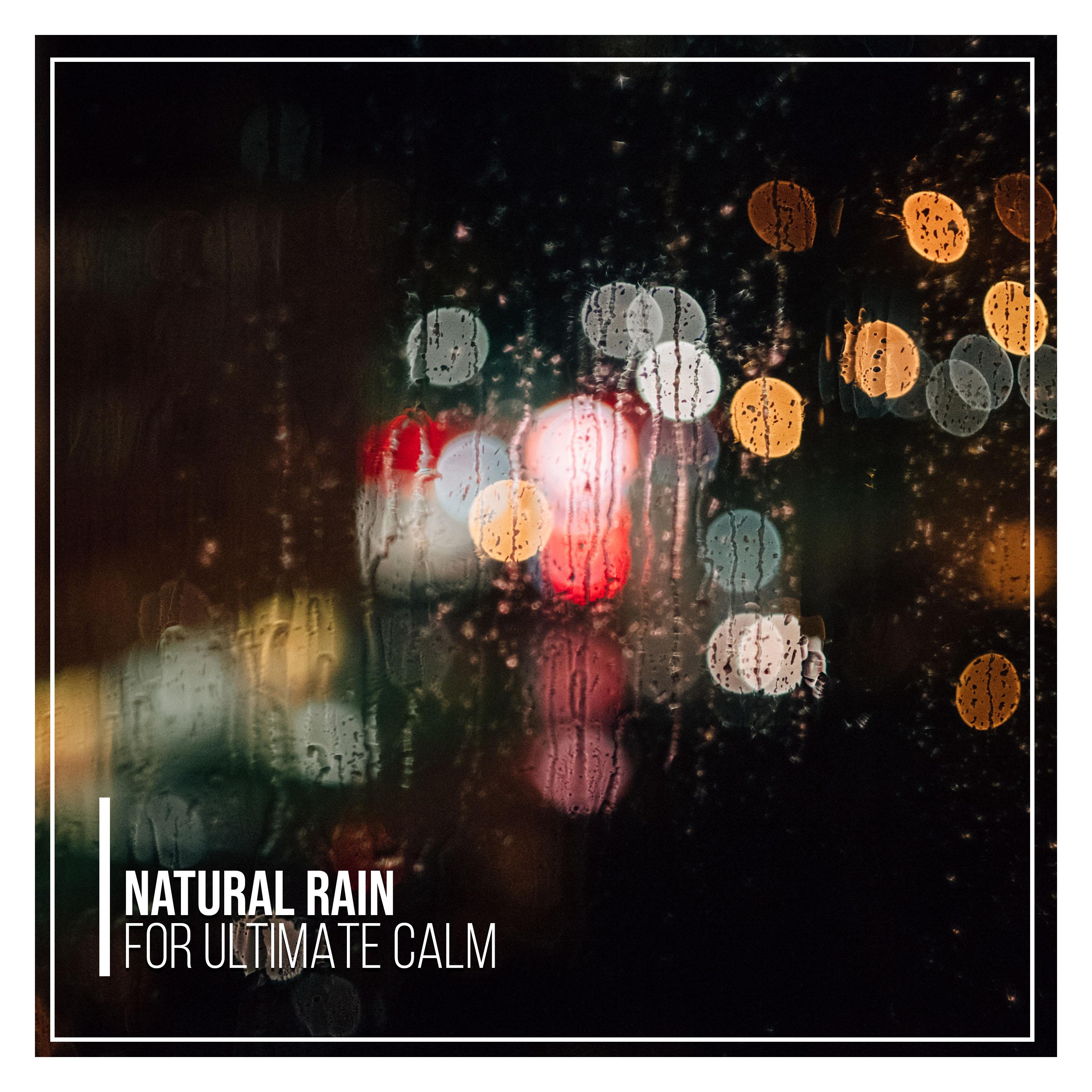 11 Natural Rain Storms for Ultimate Calm