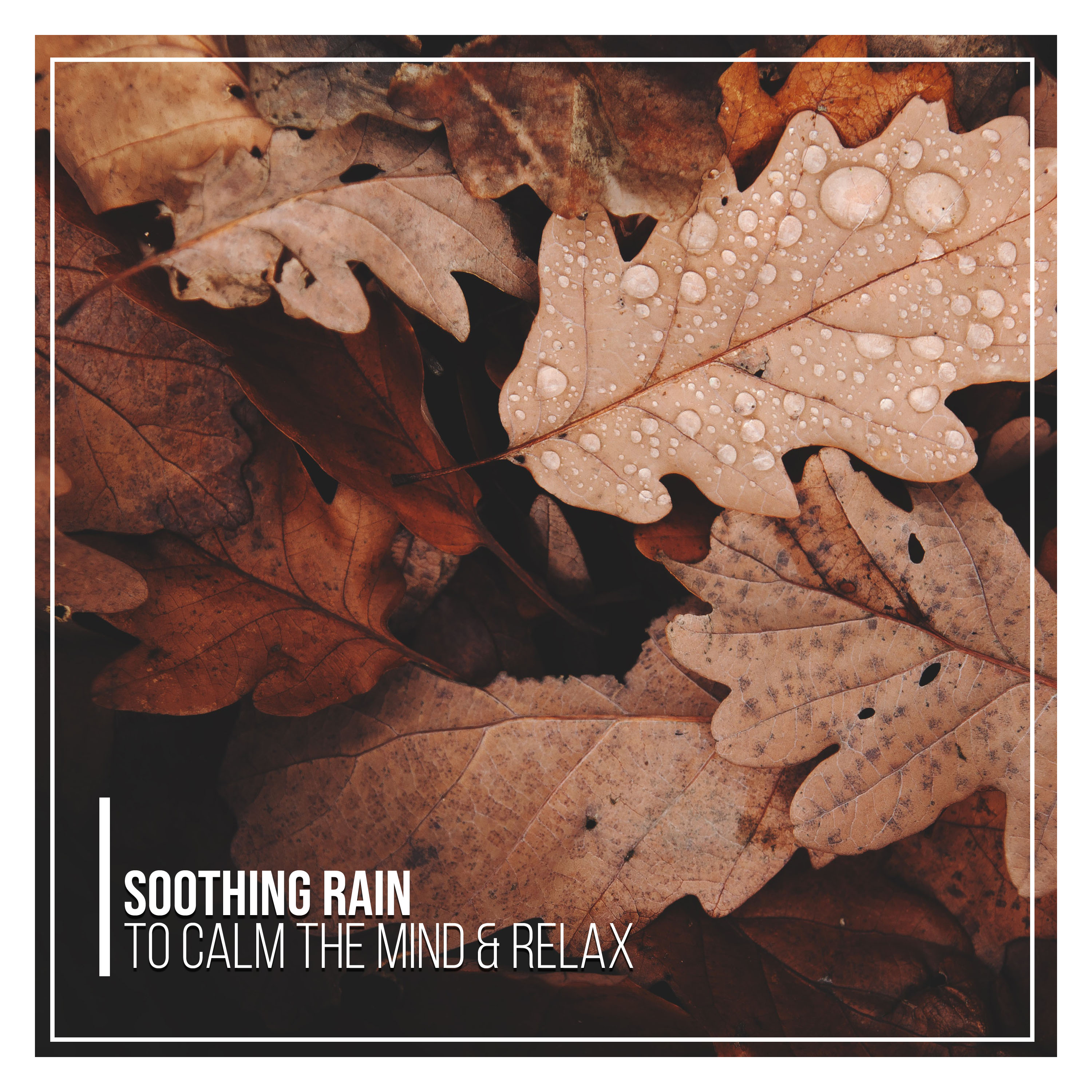 #15 Soothing Rain Tracks to Calm the Mind & Relax