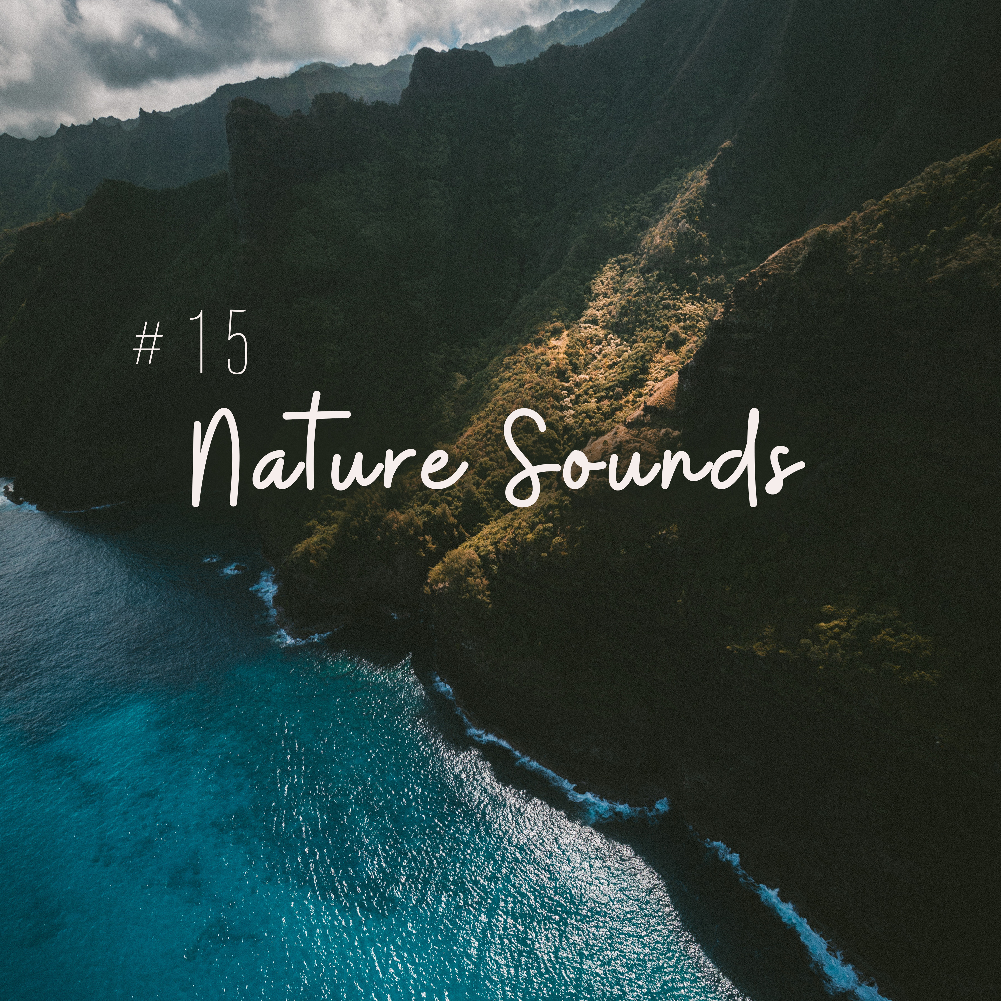 #15 Nature Sounds