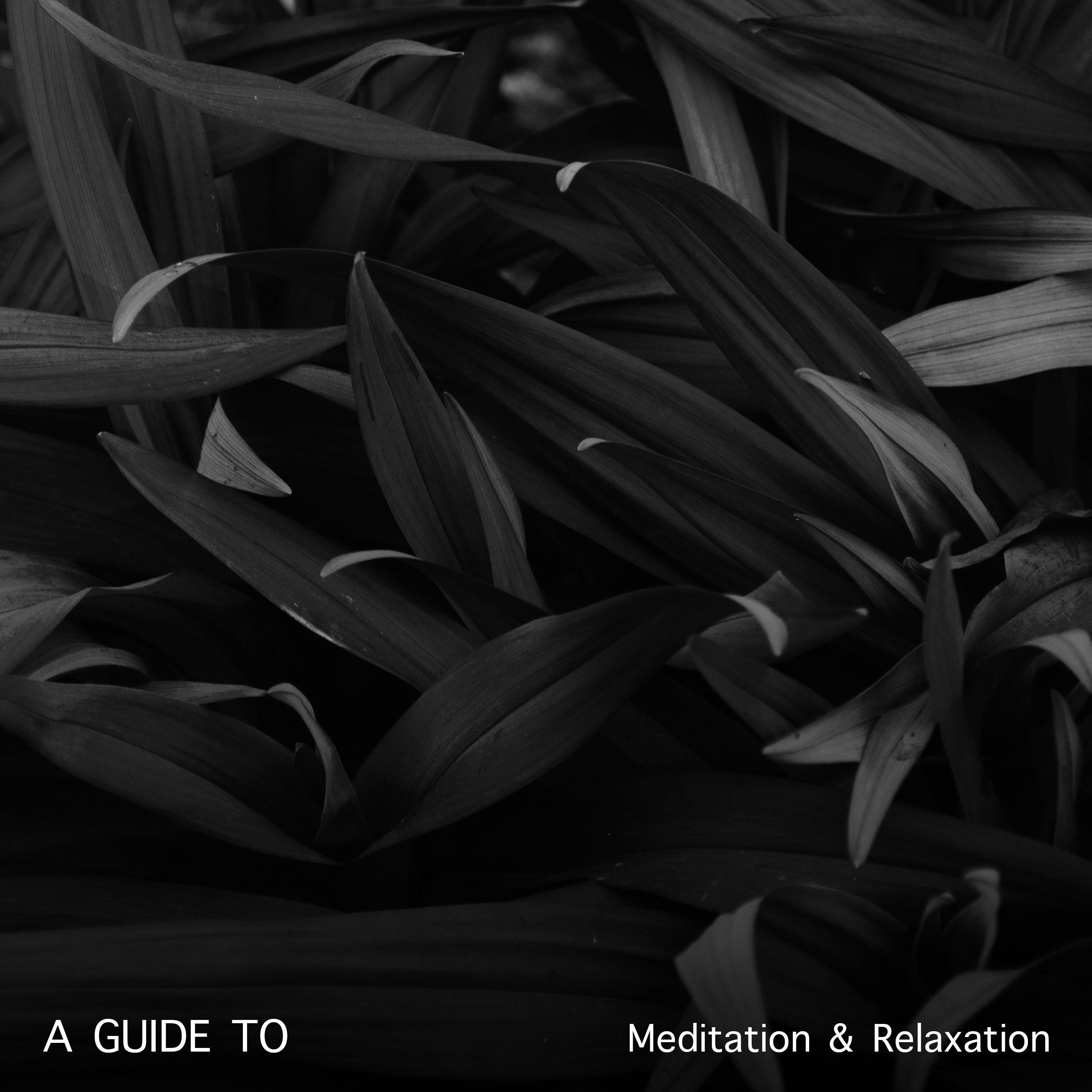 2018 A Guide to Meditation and Relaxation