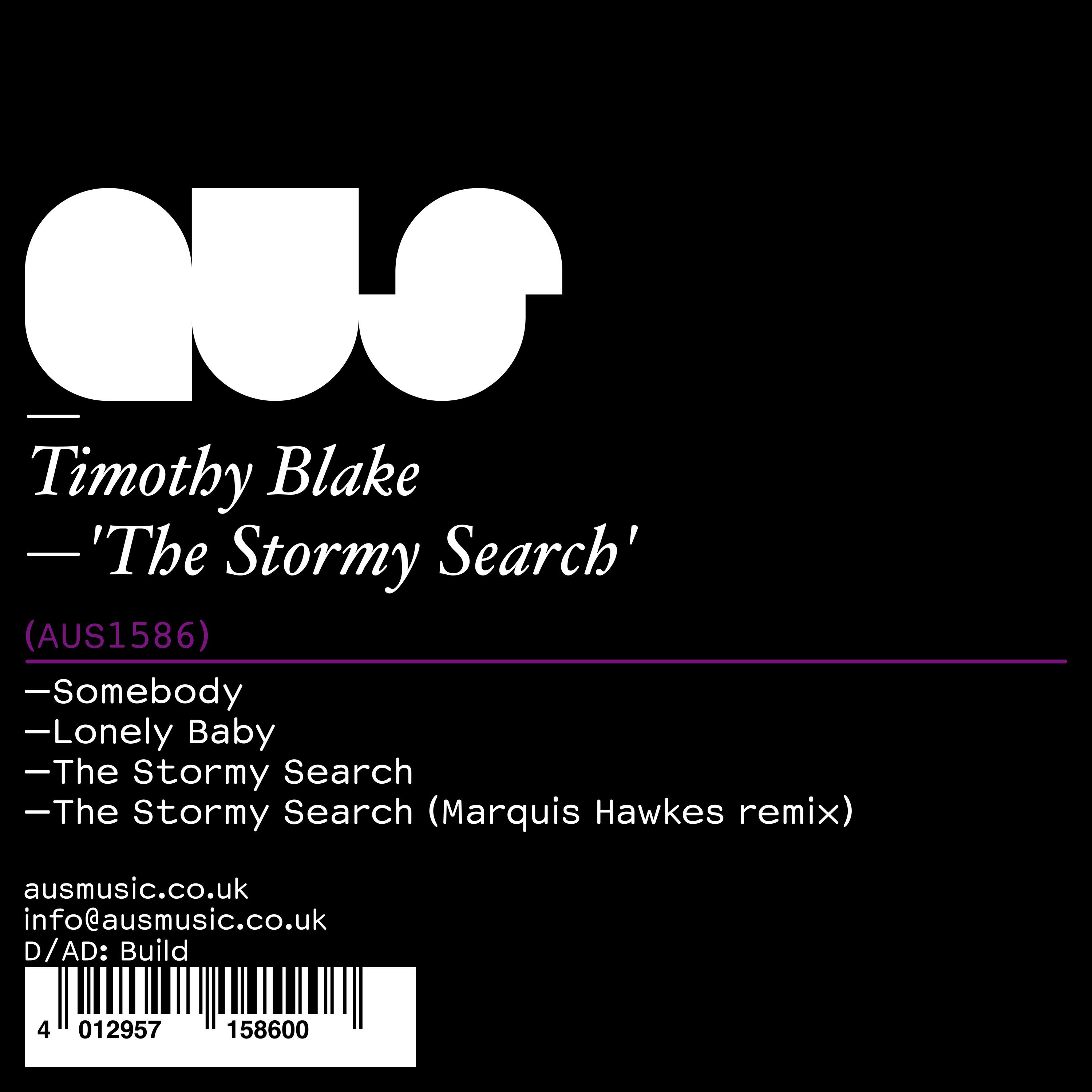 The Stormy Search (Marquis Hawkes Remix)