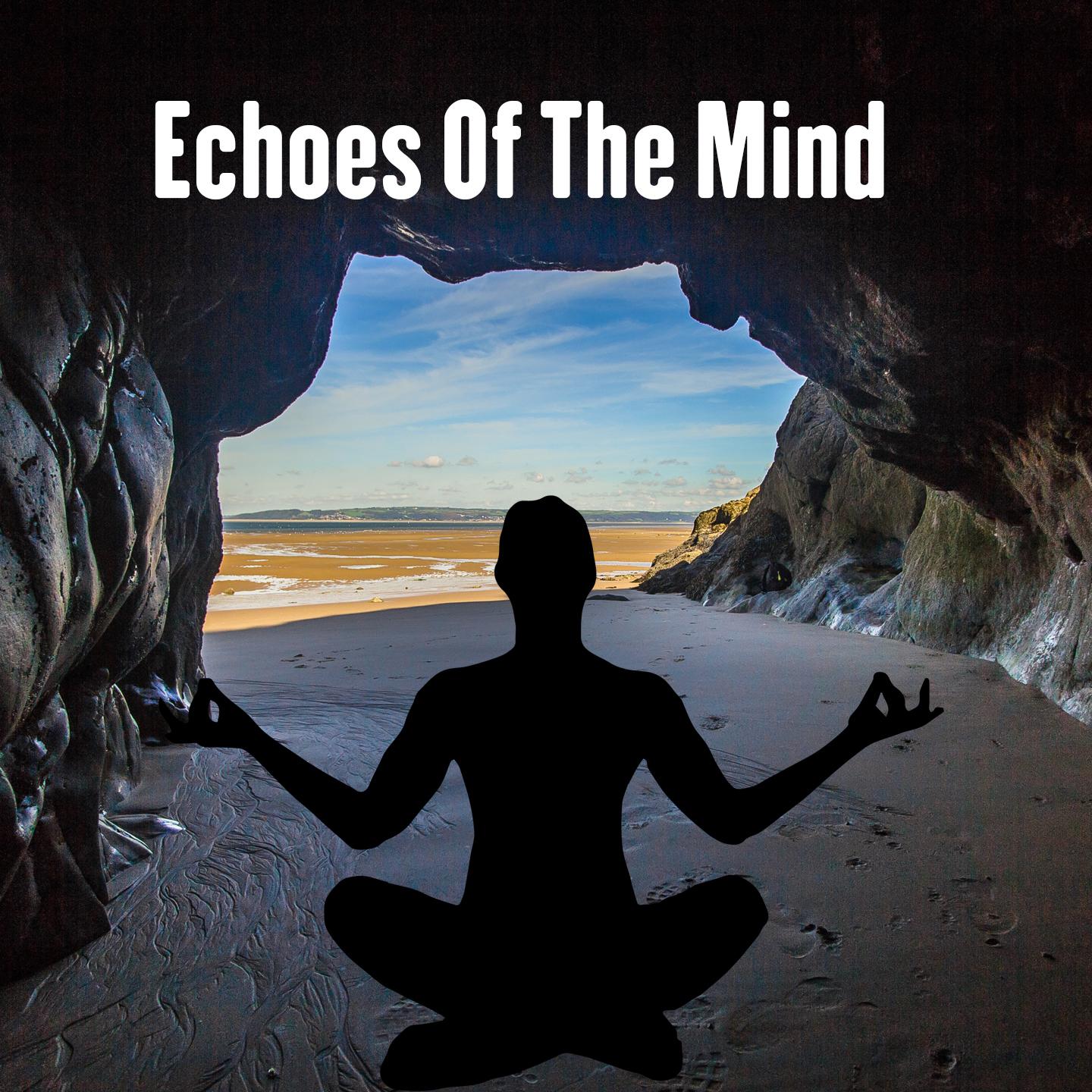 Echoes Of The Mind