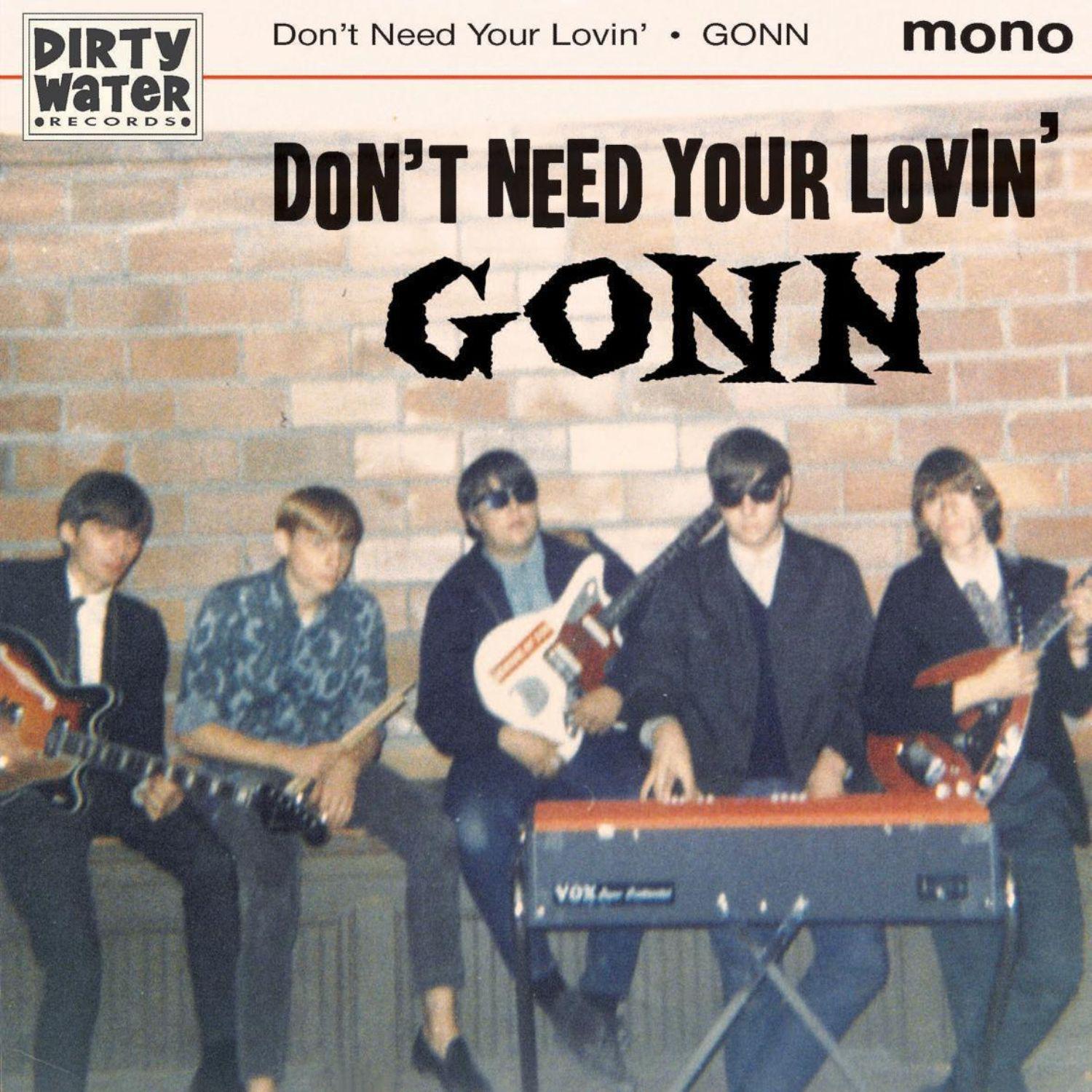 Don't Need Your Lovin'