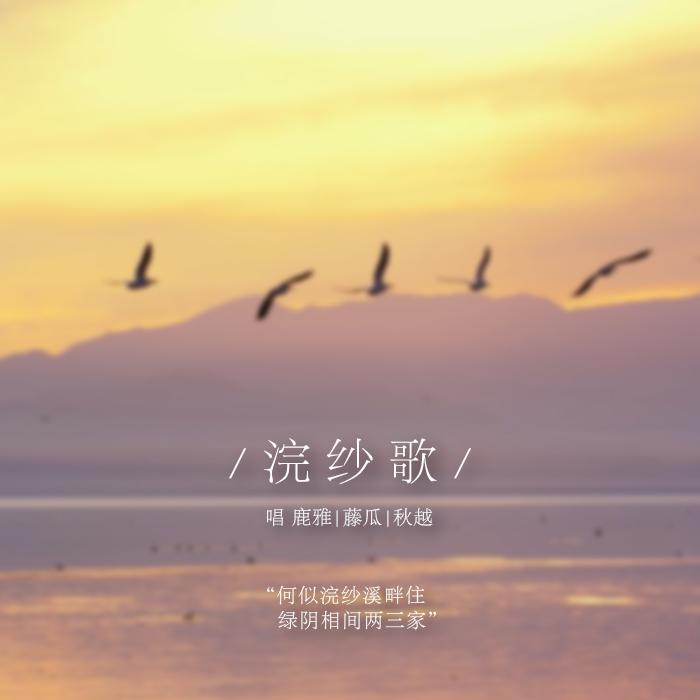 huan sha ge Cover: wang yi you xi