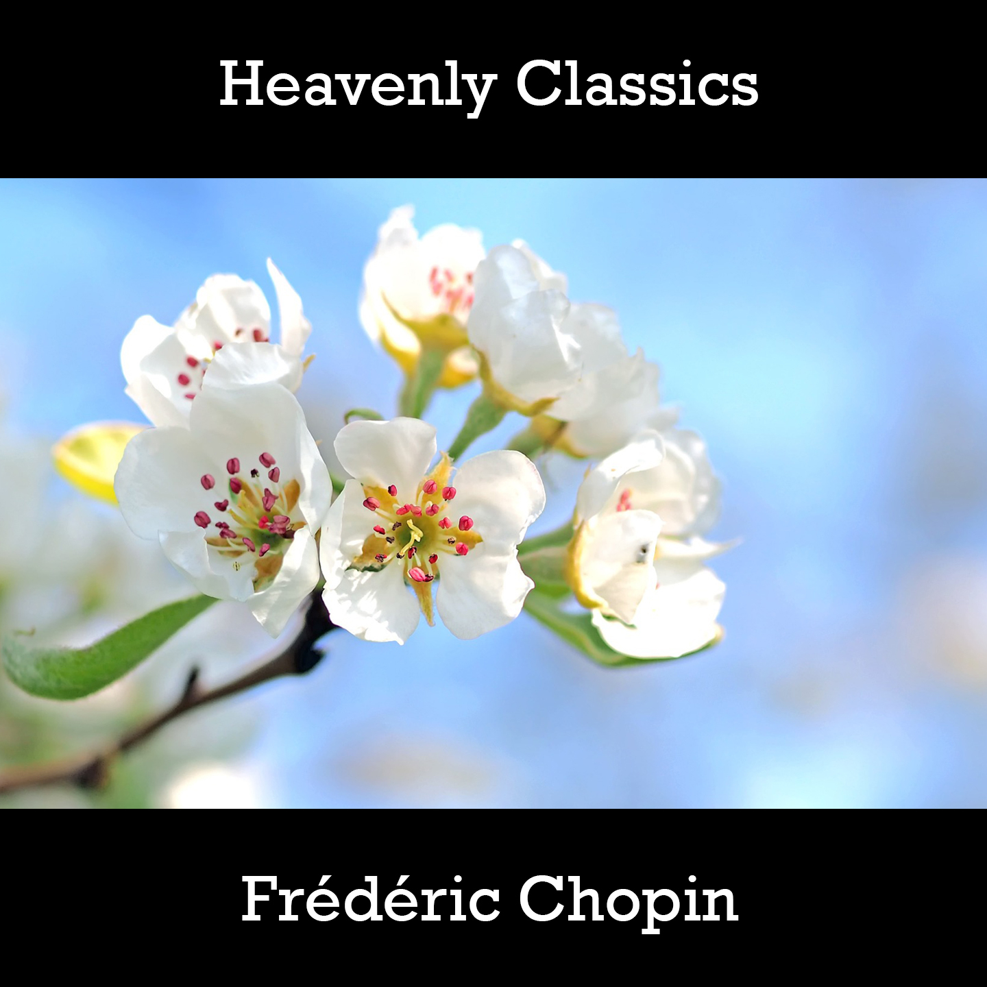 Heavenly Classics Fre de ric Chopin