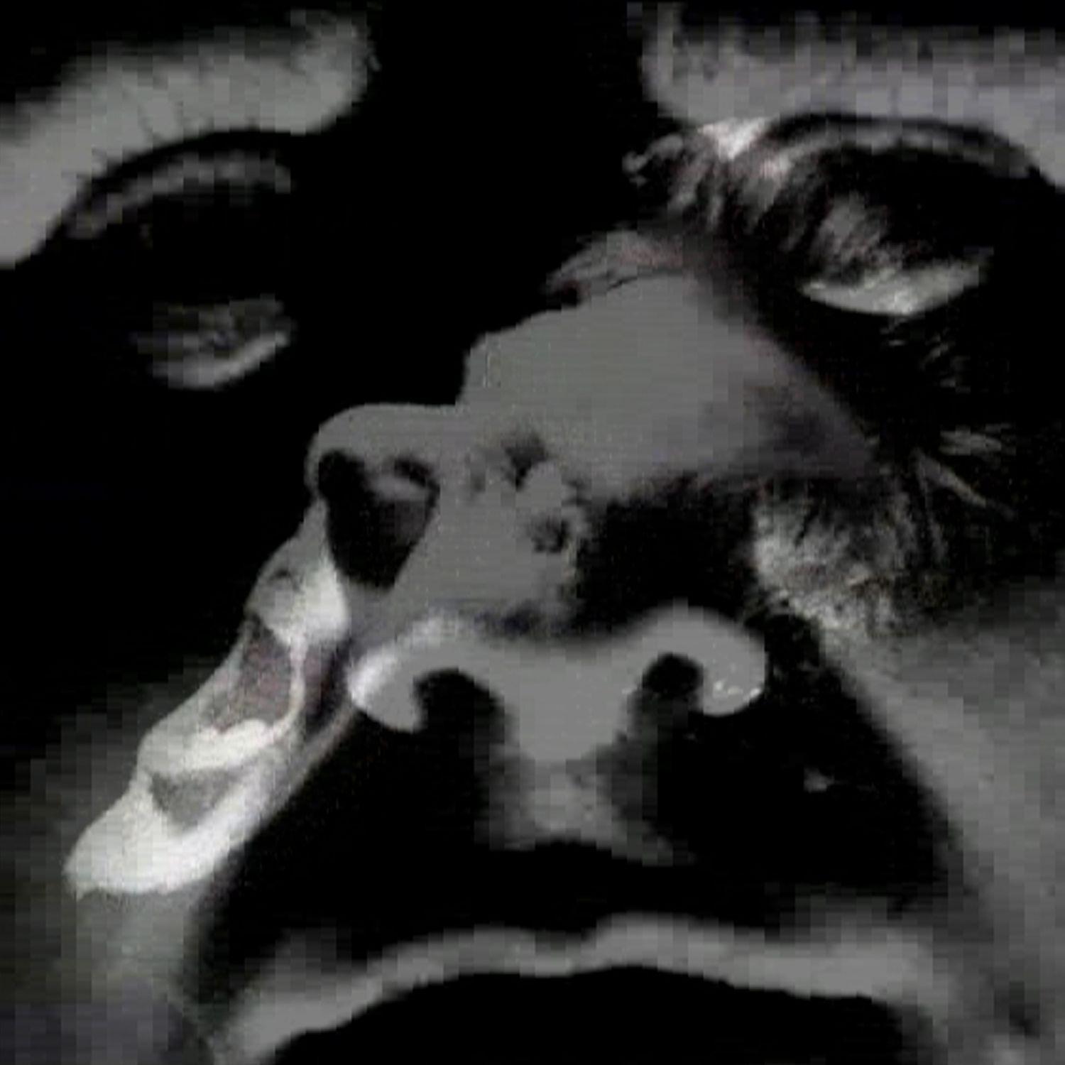 Not Since the Accident