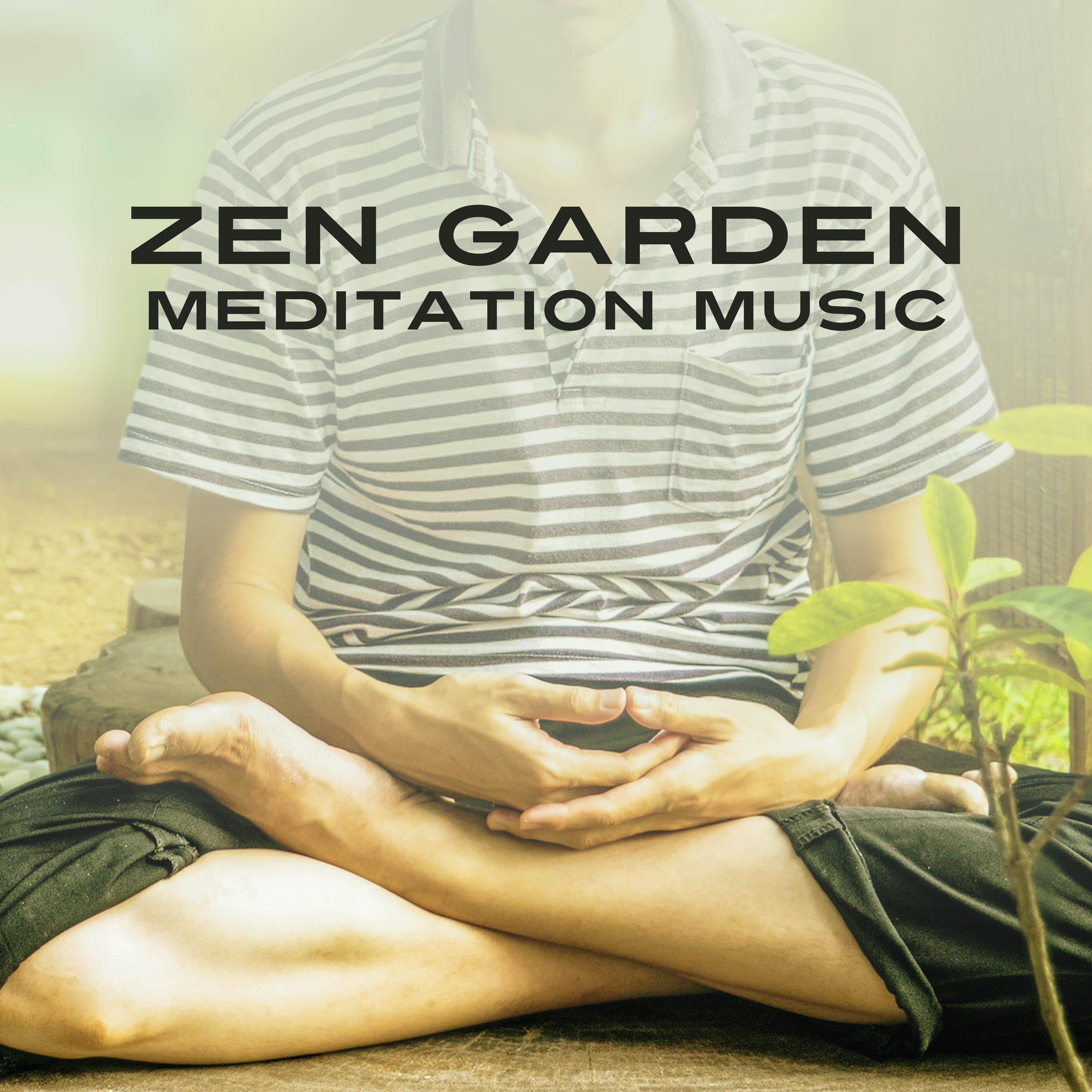Zen Garden Meditation Music  New Age Songs for Meditate, Healing Relaxation Music, Yoga on the Morning
