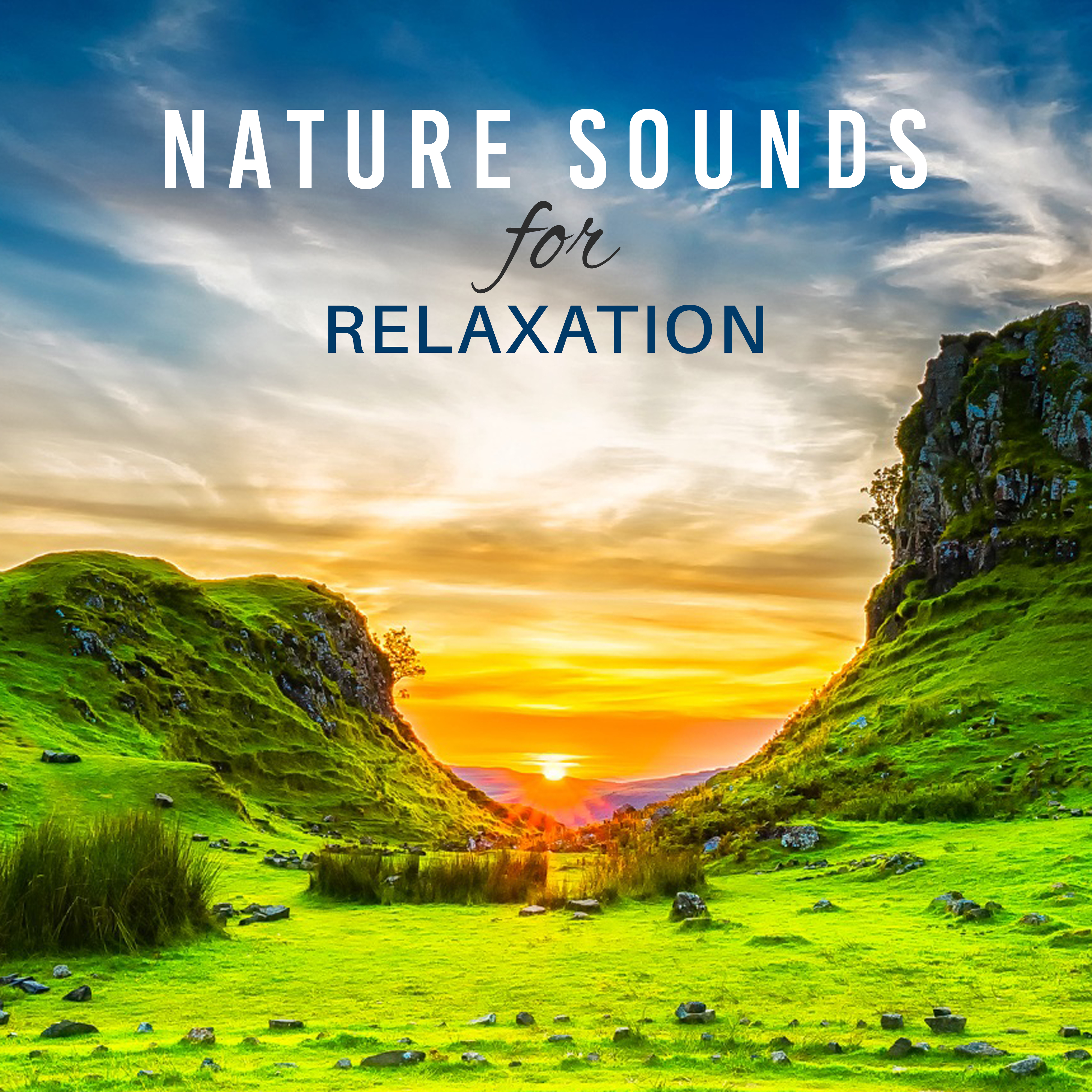 Nature Sounds for Relaxation  Soft Music to Rest, Deep Sleep, Pure Mind, Relax, Meditation, Soothing Rain, Gentle Wind