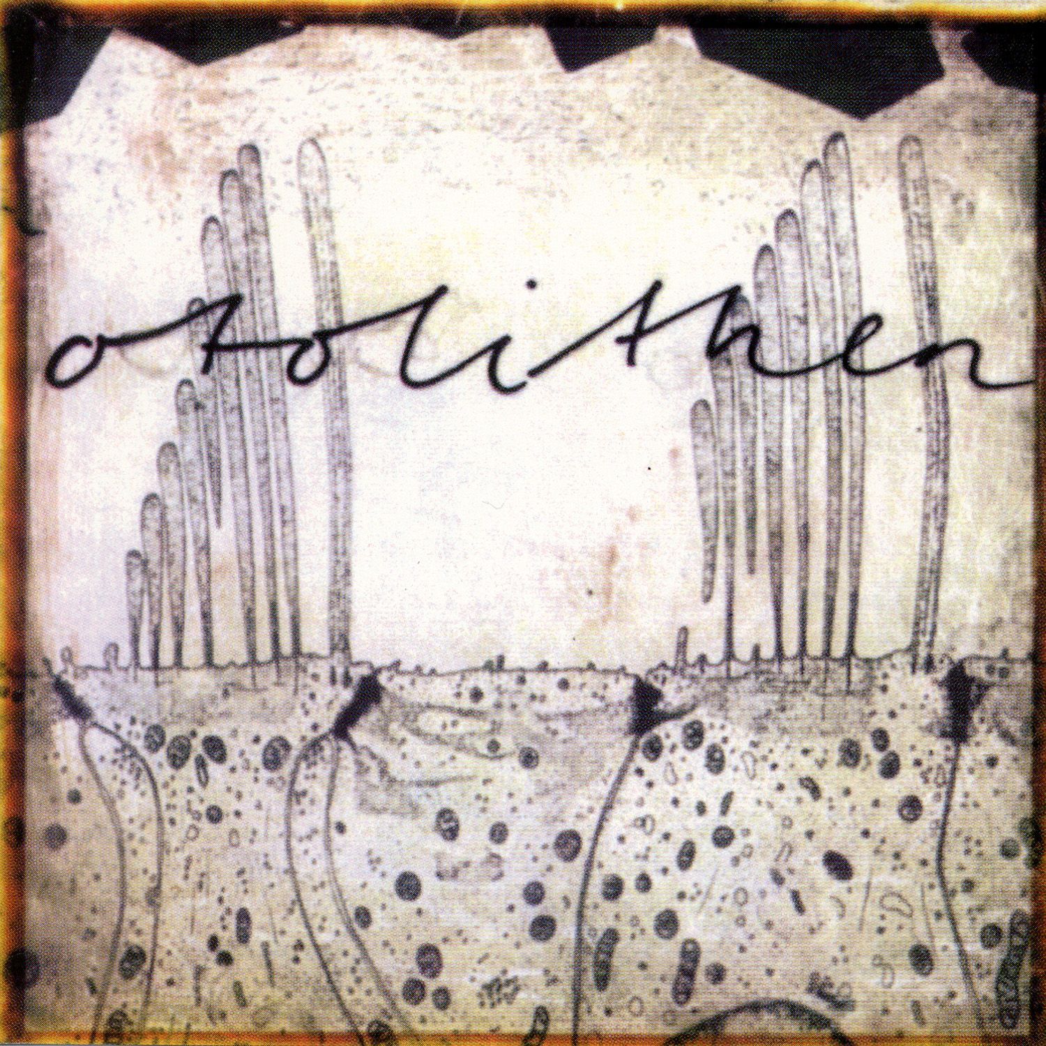 Otolithen