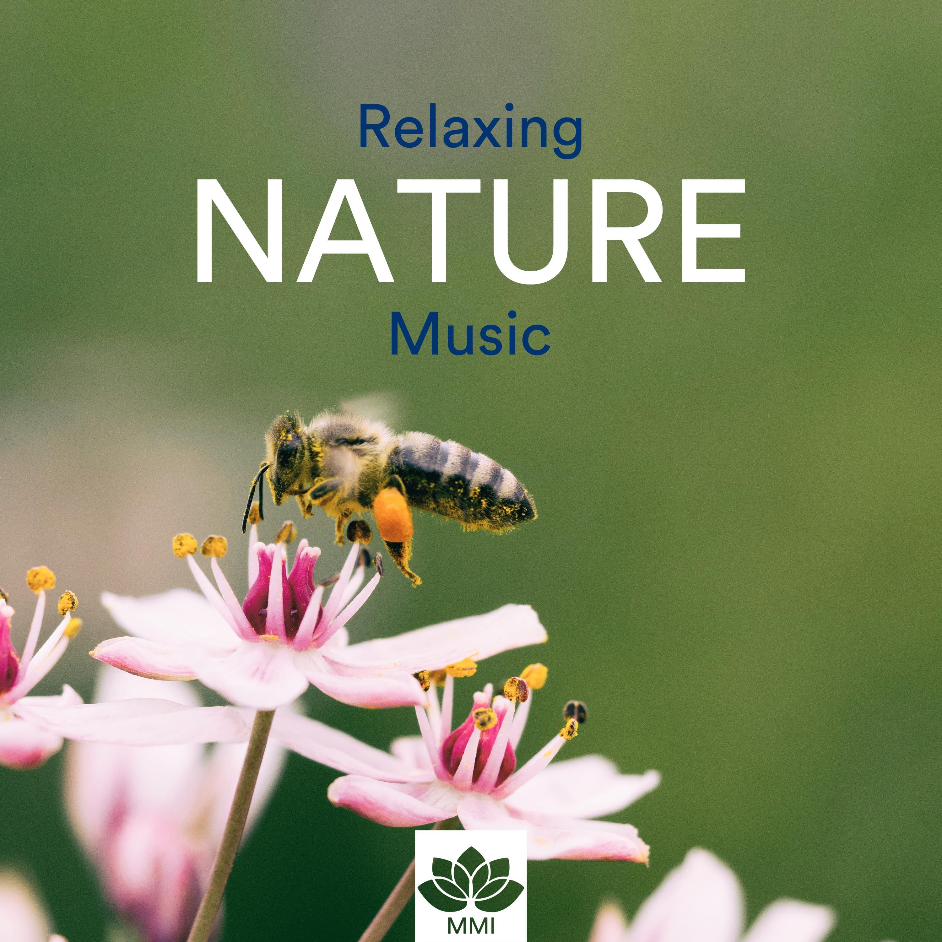 Relaxing Nature Music - Qi Gong, Yoga, Tai Chi, Reiki, Mindfulness Meditation & Inner Peace