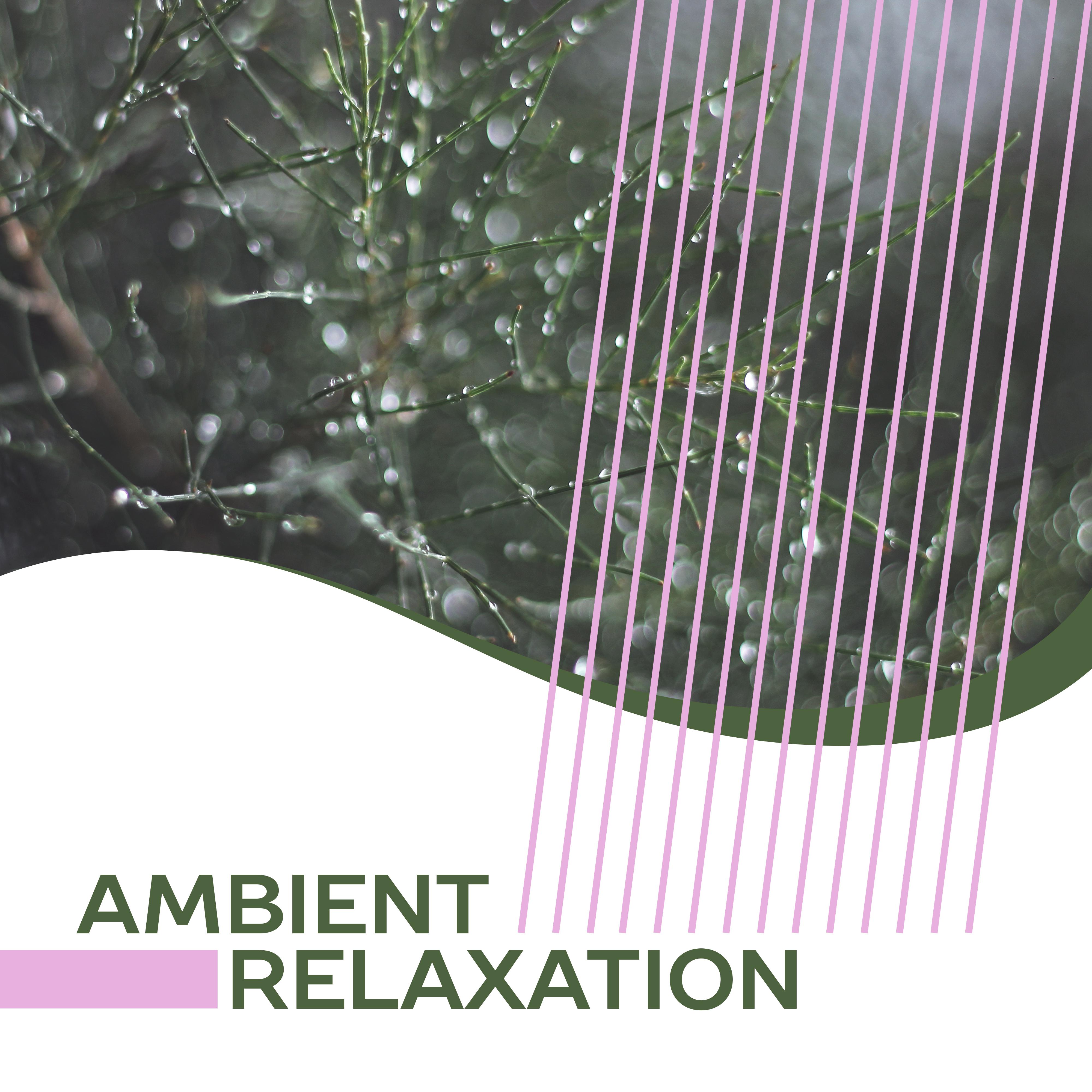 Ambient Relaxation  New Age Music, Helpful for Rest, Deep Relaxation, Sounds of Nature