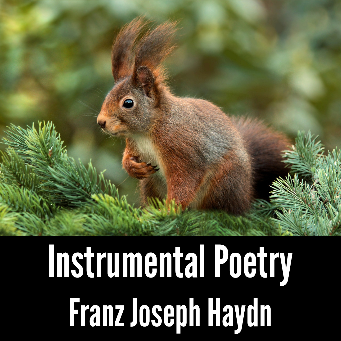 Instrumental Poetry: Franz Joseph Haydn