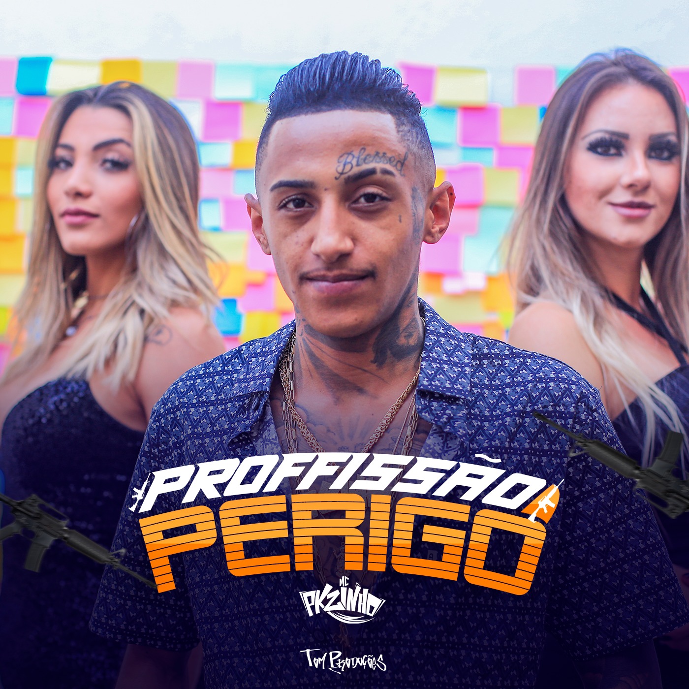 Profiss o Perigo