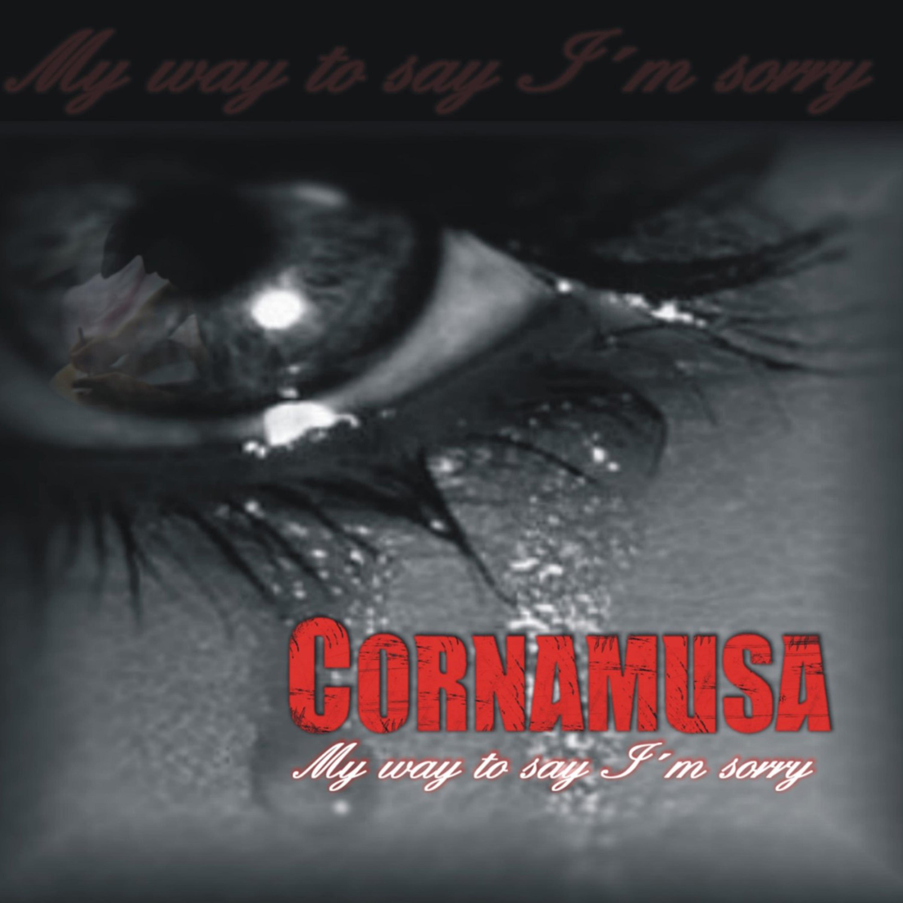 My Way To Say Im Sorry