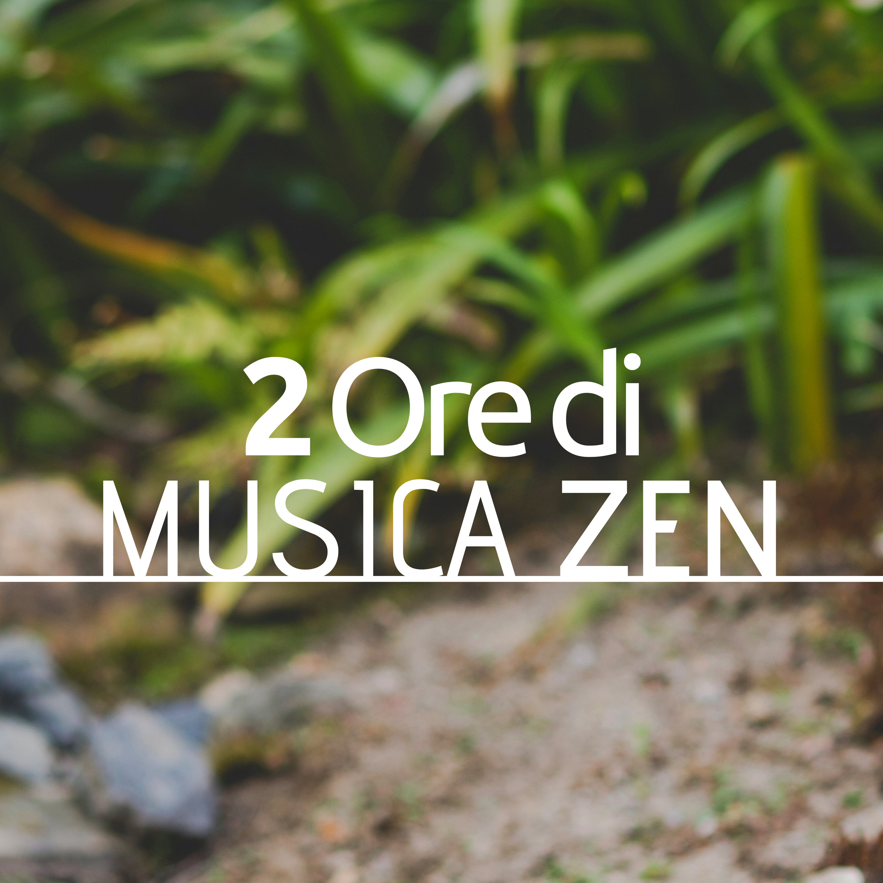 2 Ore di Musica Zen - Meditazione, Massaggio Ayurveda, Tecniche Rilassamento Mentale, Massaggio Svedese