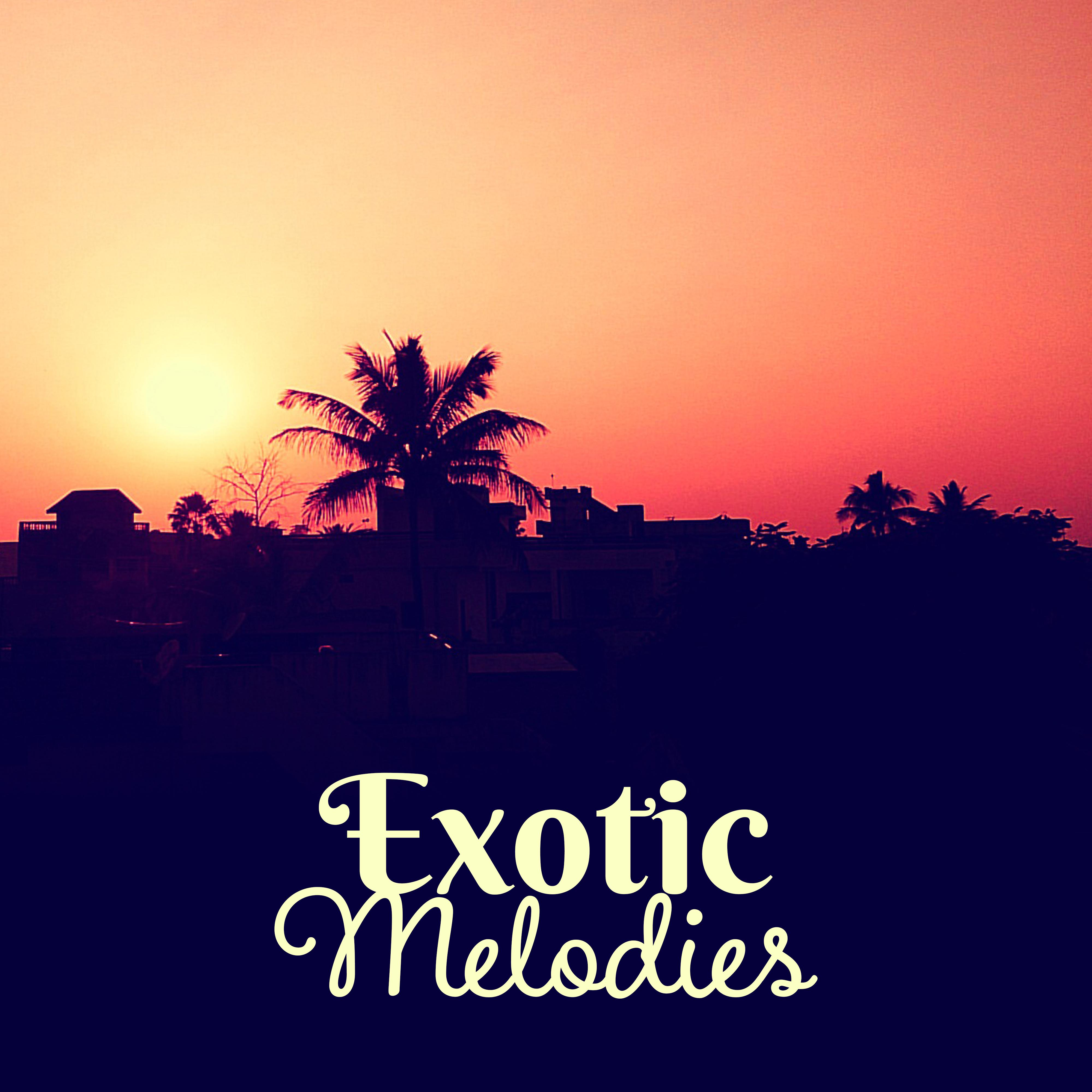 Exotic Melodies  Chill Out Music, Sensual Vibes, Tropical Island Sounds, Rest a Bit