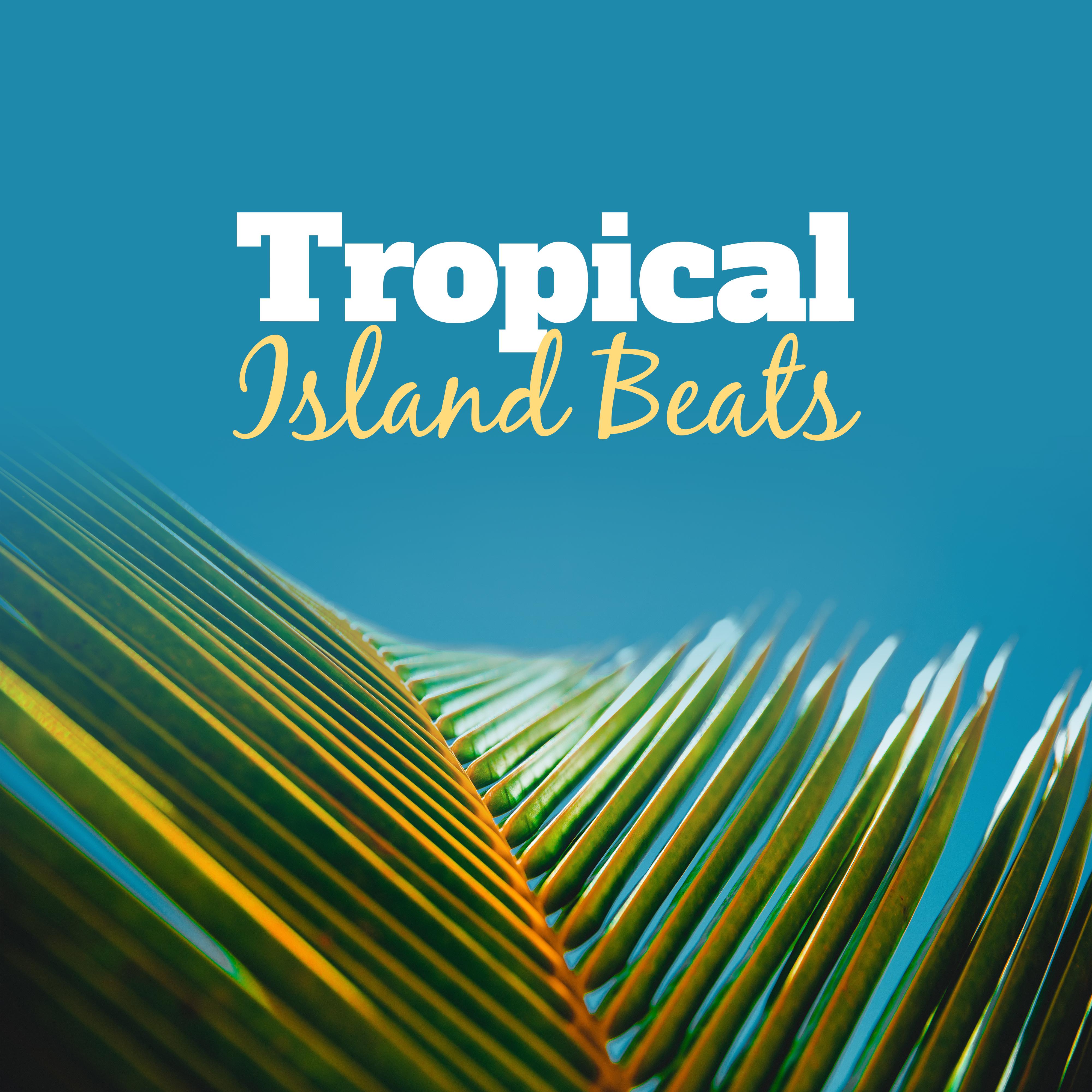 Tropical Island Beats  Summer Relaxing Time, Easy Listening, Chill Out Music, Holiday Vibes