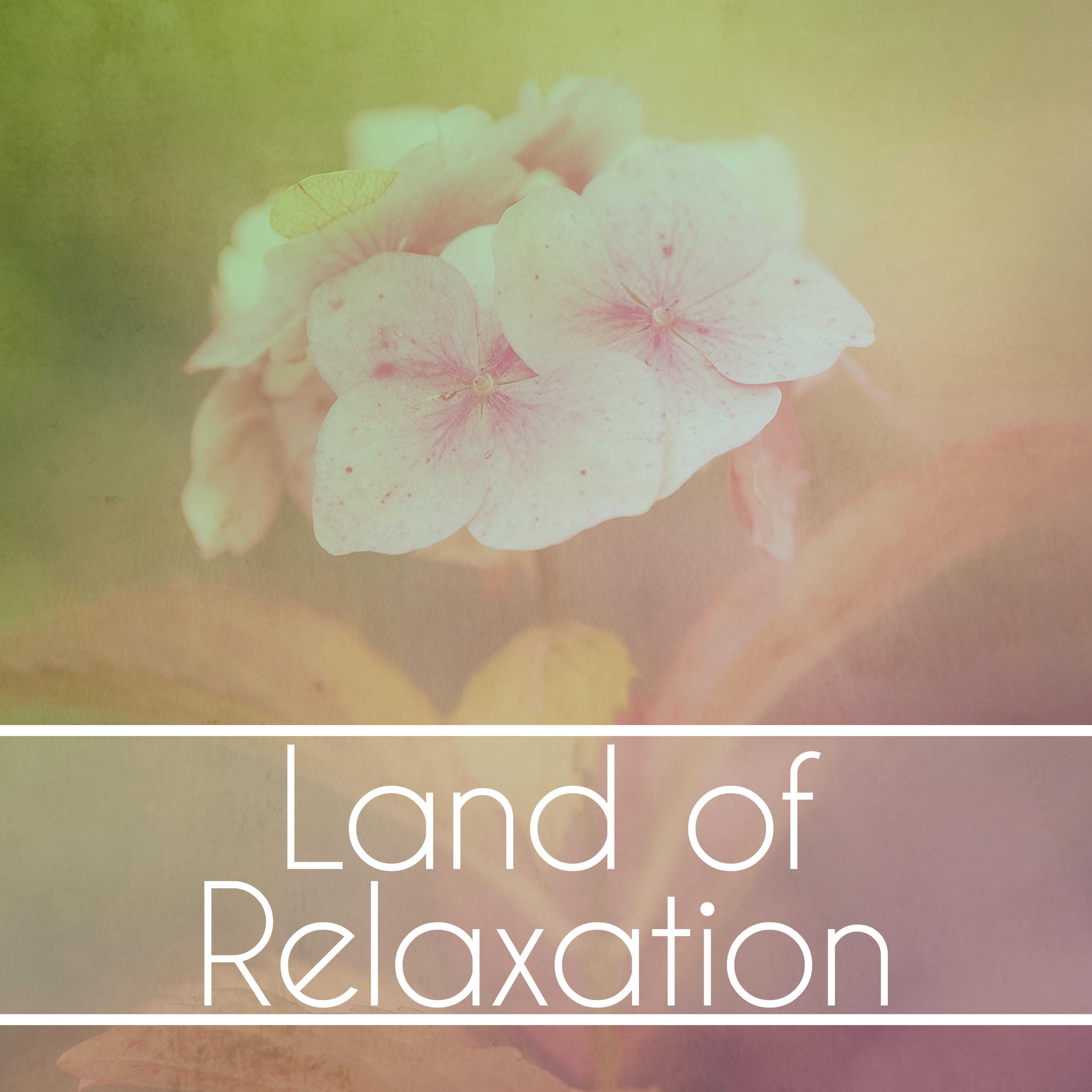 Land of Relaxation  Soothing Music for Spa, Wellness, Deep Sleep, Calming Therapy, Pure Massage, Healing Music