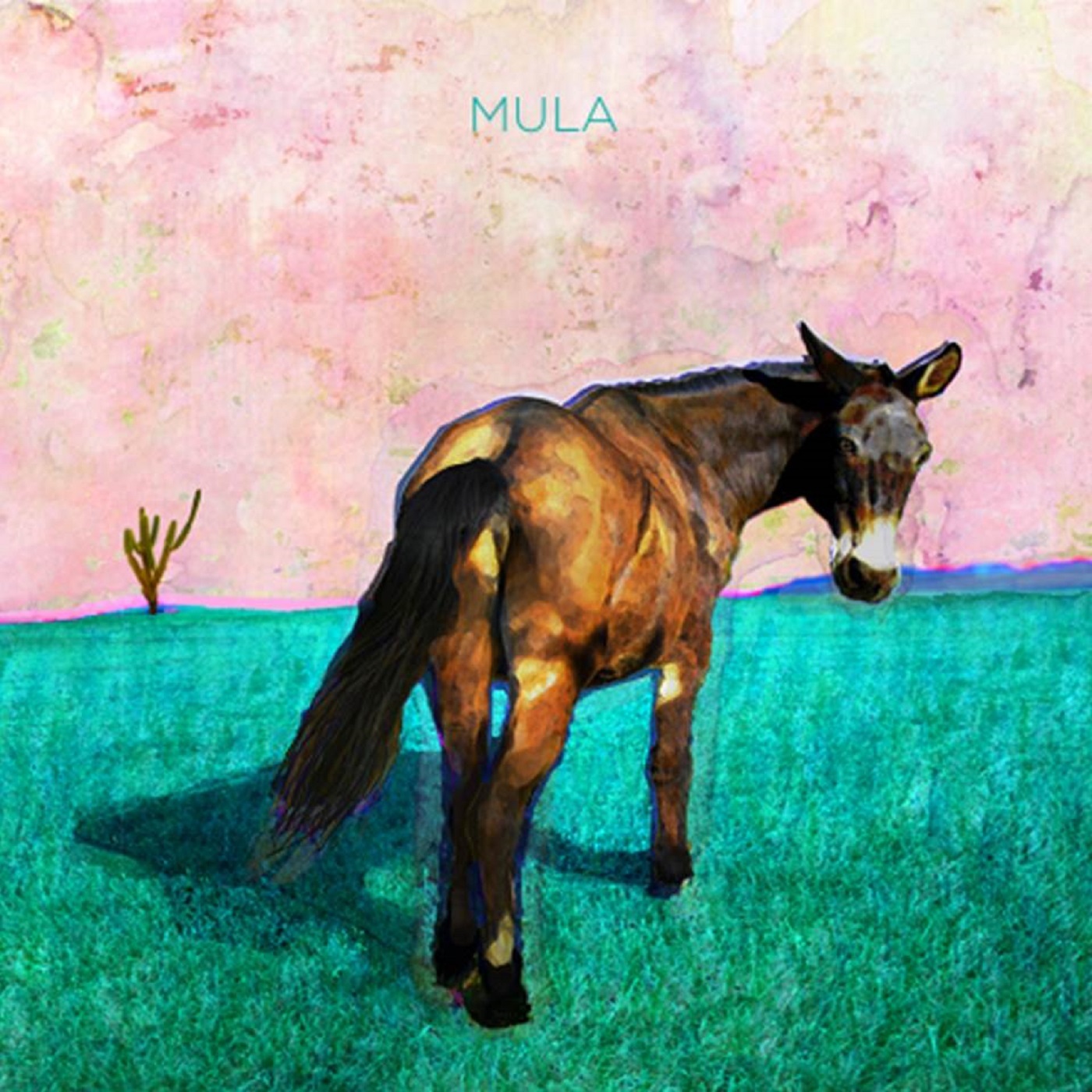 Mula