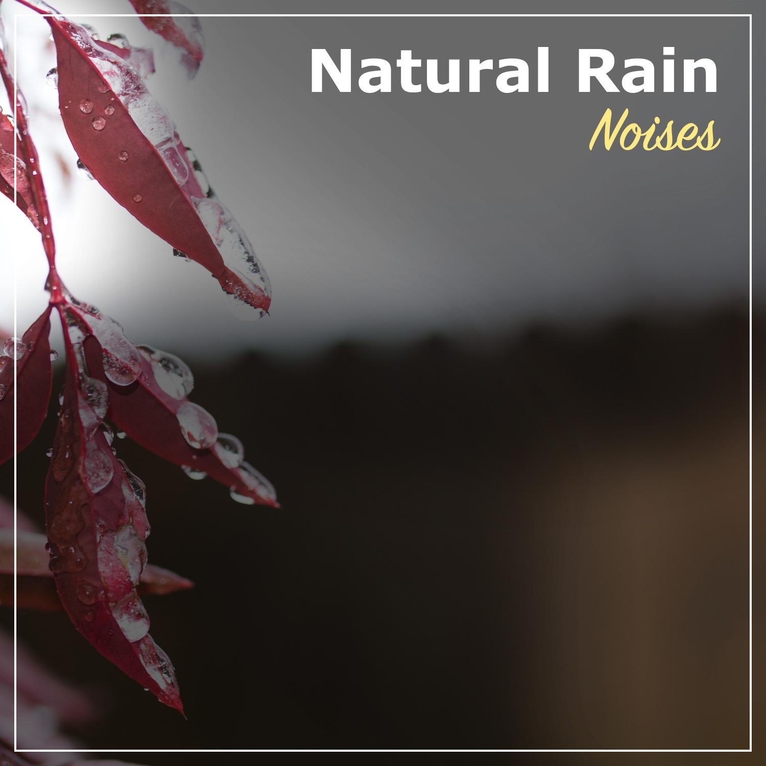 18 Natural Rain Noises - Great for Sleeping, Meditation, Focus, Yoga or Relaxing