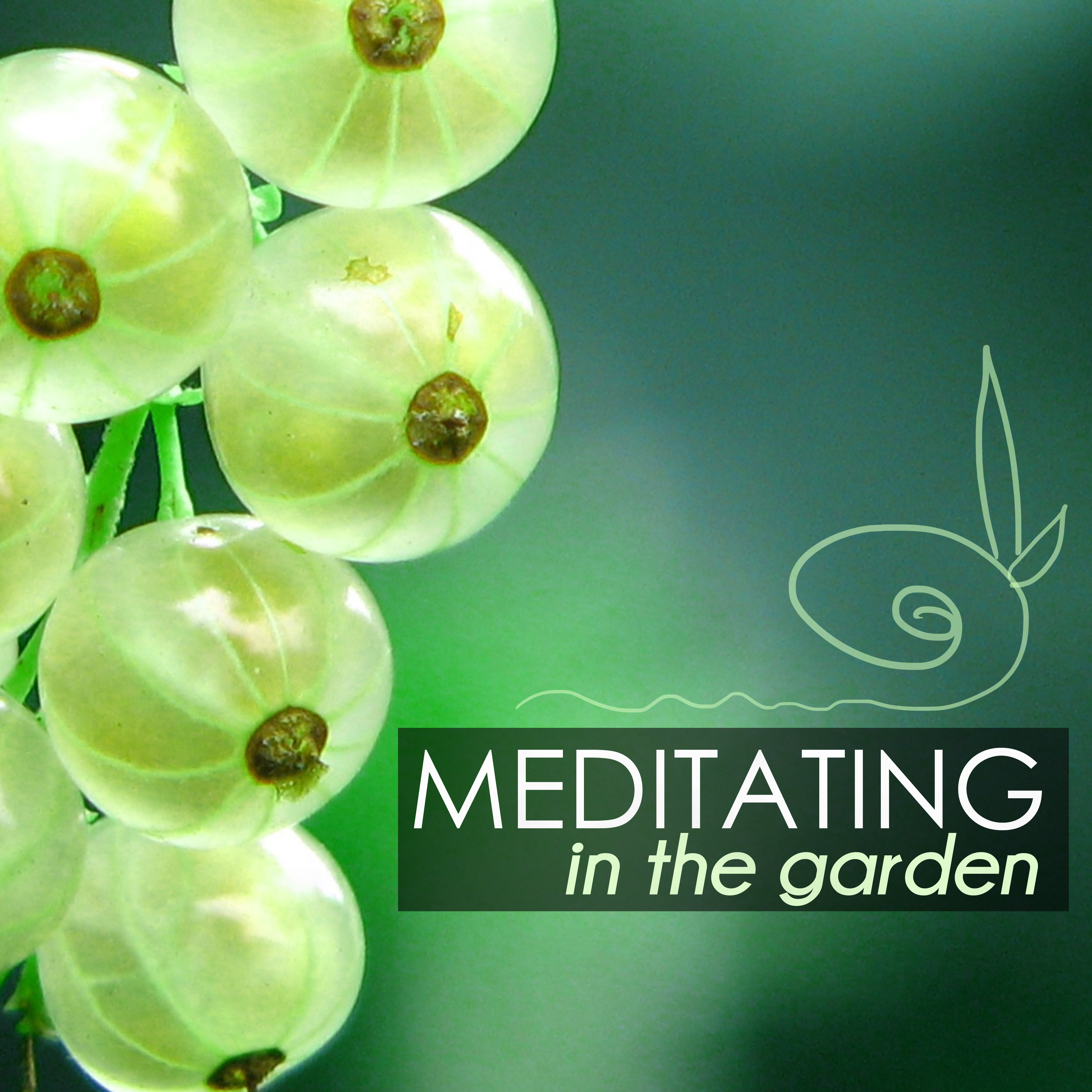 The Essence of Meditation