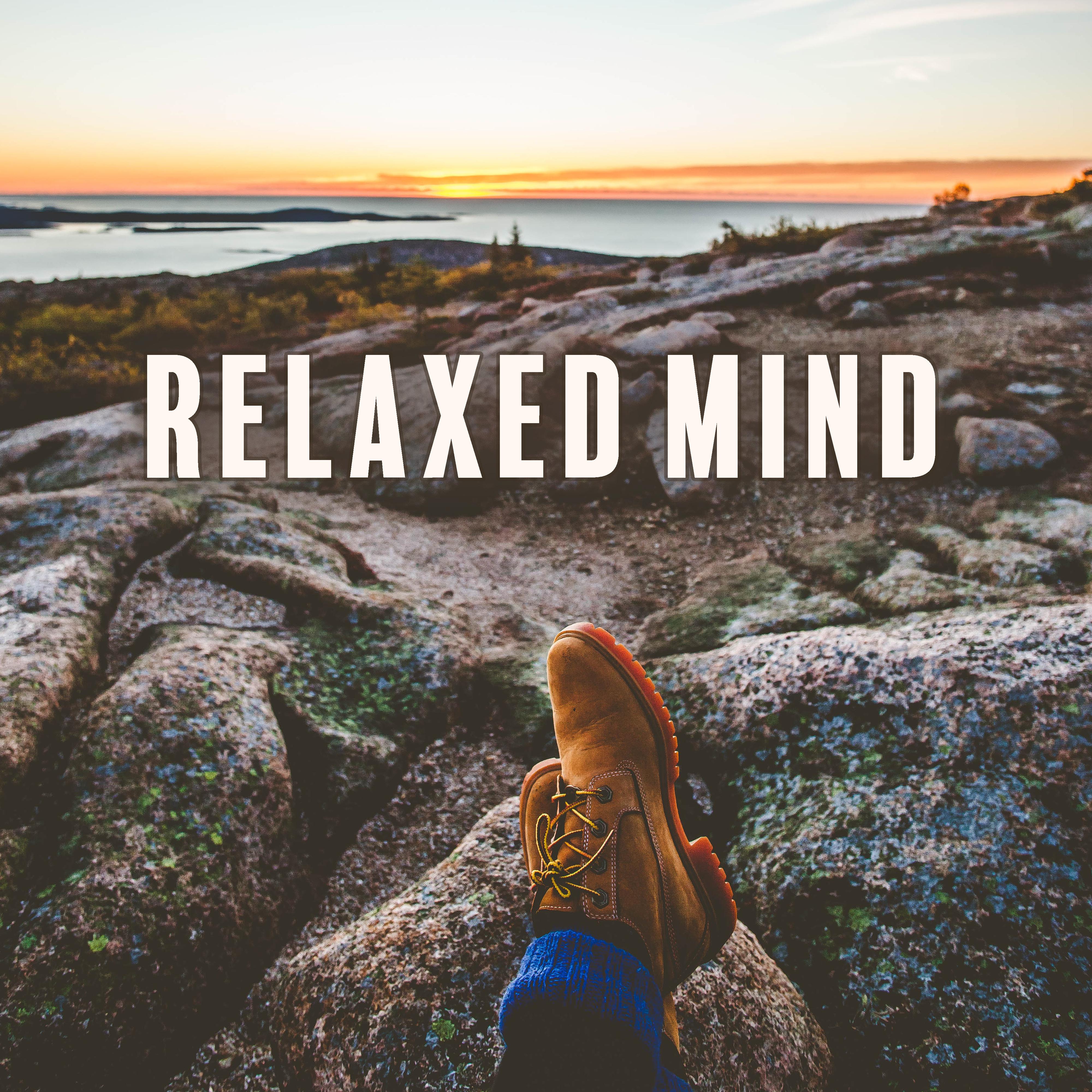 Relaxed Mind  Nature Sounds, Calming New Age, Anti  Stress Music Therapy