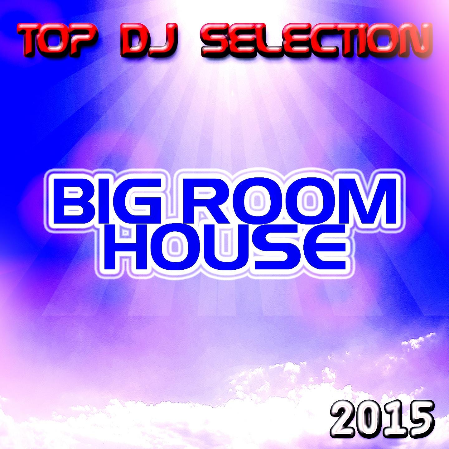 Top DJ Selection Big Room House 2015