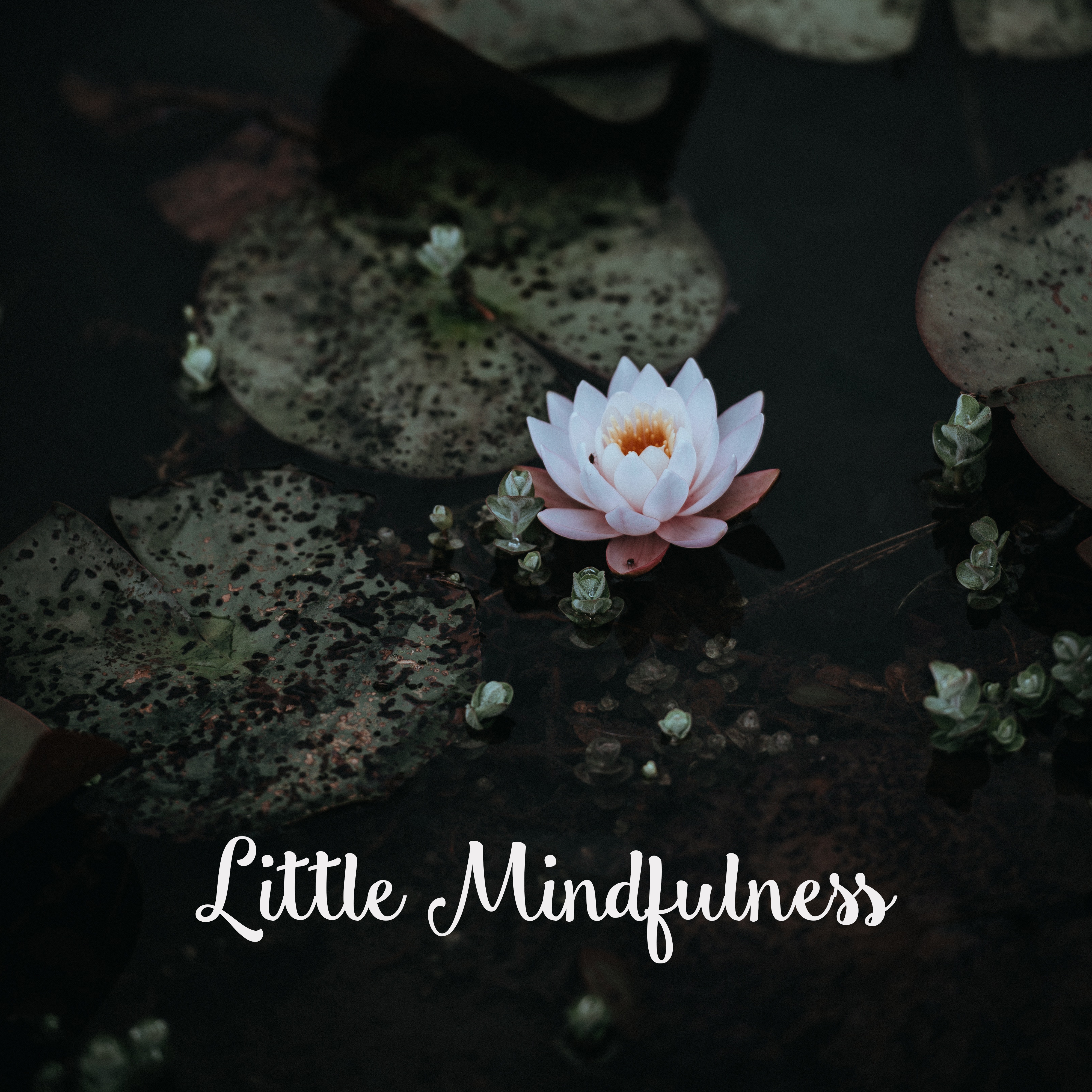 Little Mindfulness