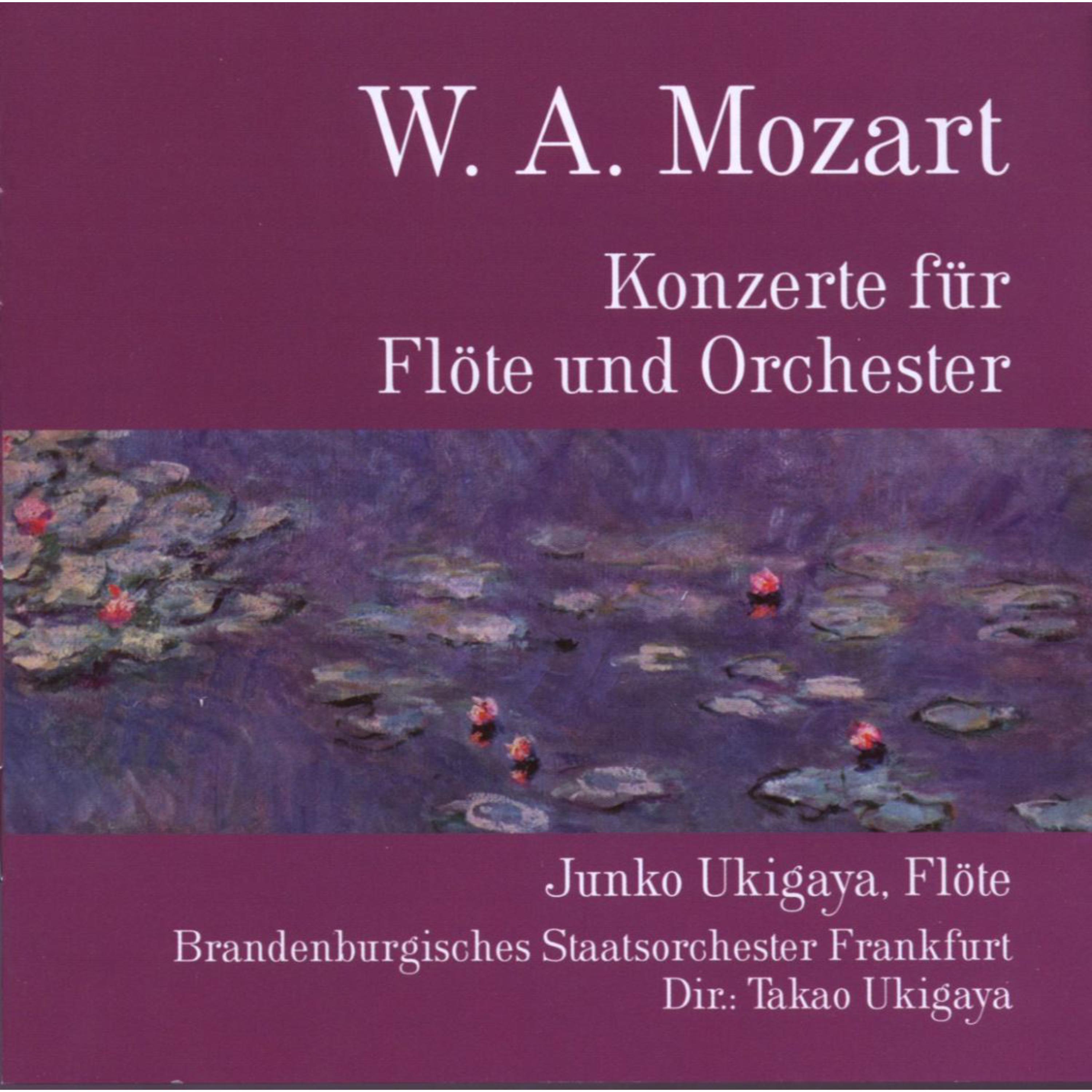 Konzert fü r Fl te und Orchester, GDur, KV 313: II. Adagio ma non troppo