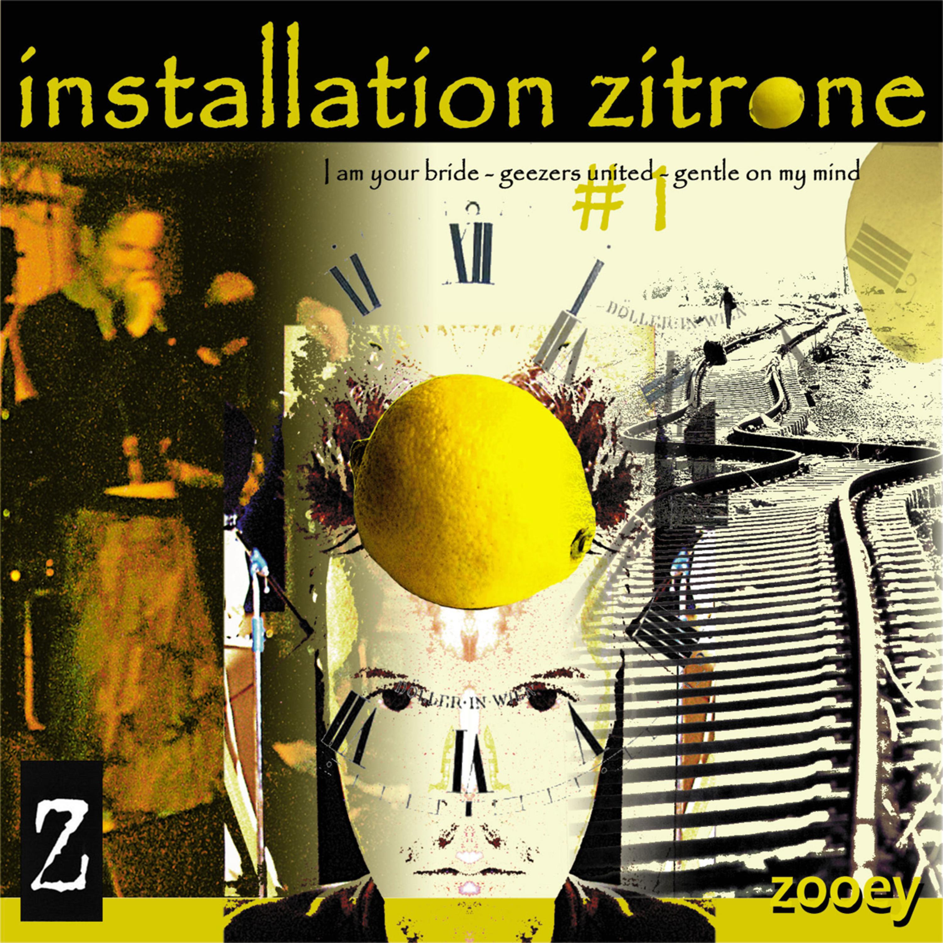 installation zitrone