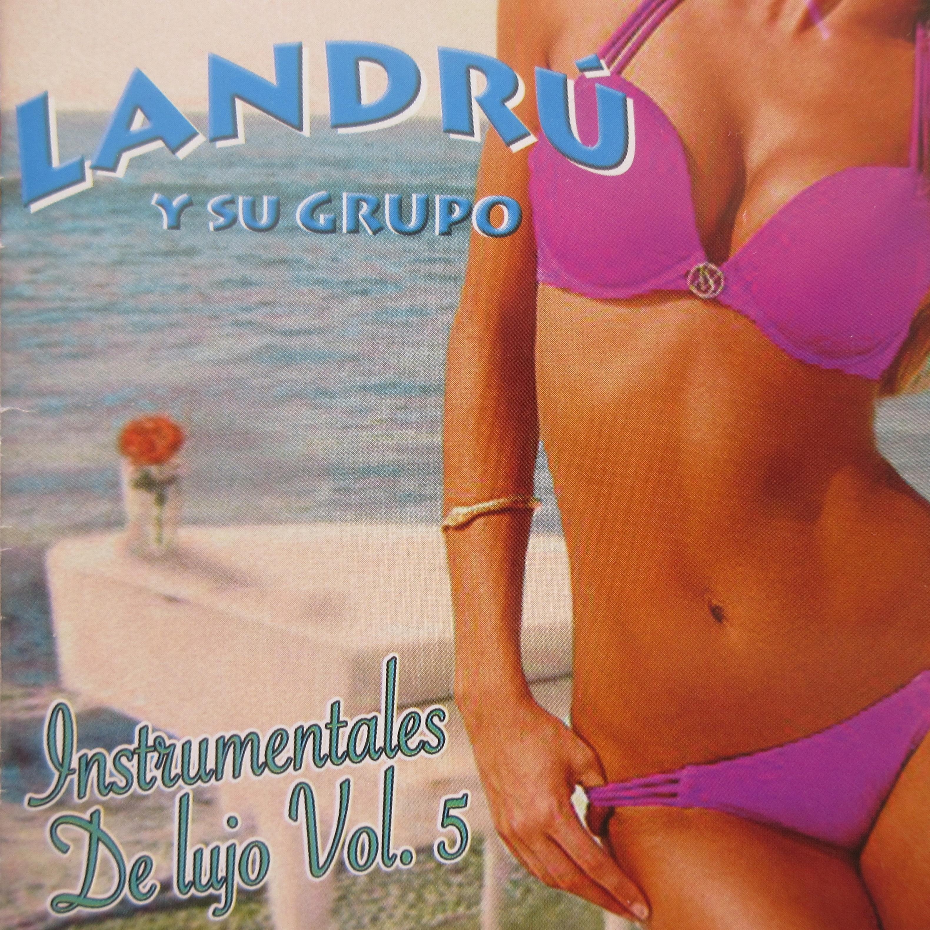 Instrumentales, Vol. 5